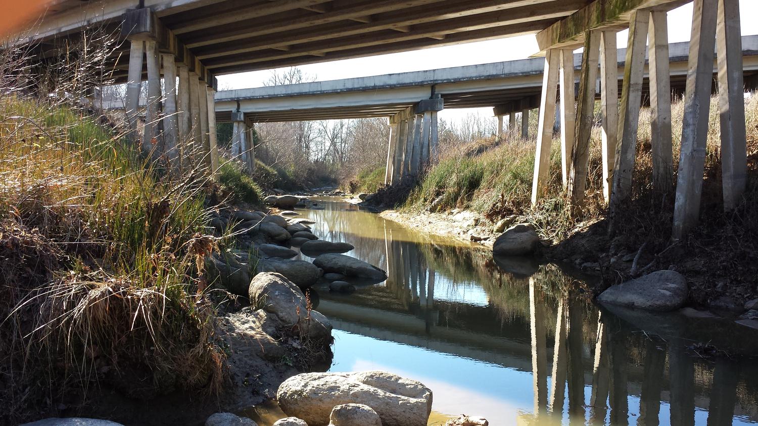 W.M. Browning Cretaceous Fossil Park Prentiss County